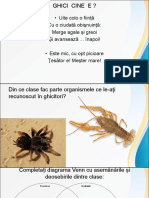 Proiect Insectele PDF