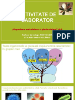 Activitate de Laborator