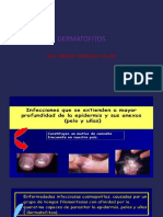 Dermatofitos