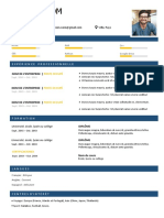 174 Modele CV Informaticien