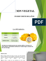 Nutricion Vegetal Pitahaya