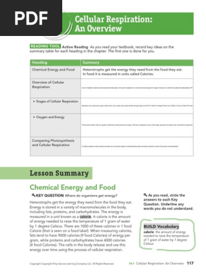 Cellular Respiration An Overview Worksheet Answers Pogil 8 Cellular