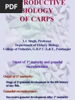 Download reproductive biology of carps by joshigauta SN54539041 doc pdf