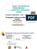 Pedagogia Cultural