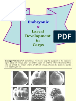 Embryonic: Larval Development in Carps