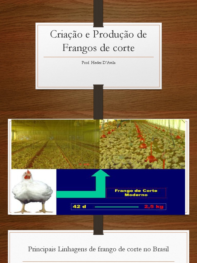 Modelo De Projeto De Criacao De Frangos