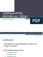 Jaringan Epitel (Epithellial Tissue) : Tika Mayang Sari