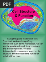 Plant and Animal Cells