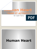 Human Heart Part 2