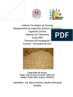 Protocolo de Investigación Al 7 de Octubre