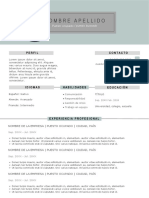 204 Curriculum Vitae Sin Pagar y Sin Registro