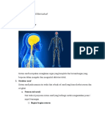 Ringkasan Materi Sistem Saraf