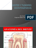 Quistes y Tumores Odontogénicos