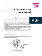 24bio o Que A Flor Tem A Ver Com o Fruto