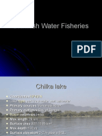 Brackish Water Fisheries