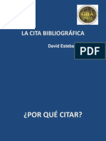 2 Citas Bibliograficas