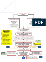 Pathophysiology Raynauds Phenomenon Schematic Diagram