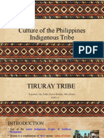 Culture of The Philippines Indigenous Tribe