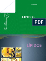 Oxidacidación de Lípidos 