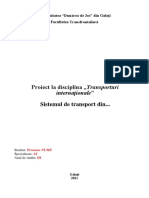 Instructiuni Proiect Transporturi Internationale III AI FT