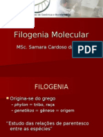 Filogenia Molecular