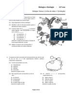 Ciclos de Vida e Evolução