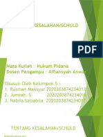 KLP 5 Hukum Pidana