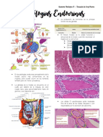 Resumo 9 - Patologias Endocrinas