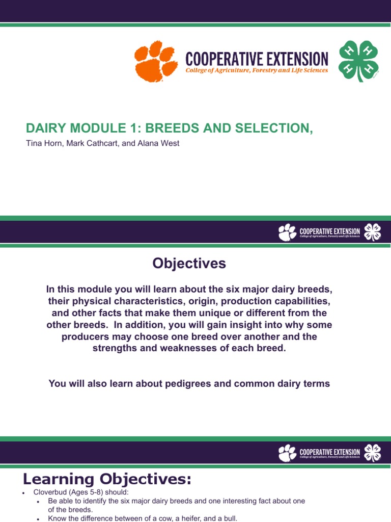 Dairy Module Breeds and Selection | PDF | Dairy Cattle | Cattle
