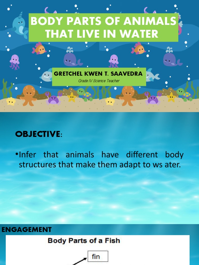 Body Parts of Animals That Live in Water PDF