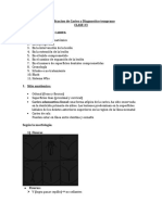 Clasificacion de Caries y Diagnostico Temprano