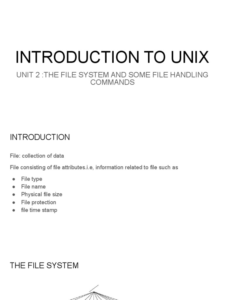 Introduction To Unix Unit 2the File System and Some File Handling