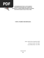 CURVA PADRÃO DE BIOMASSA