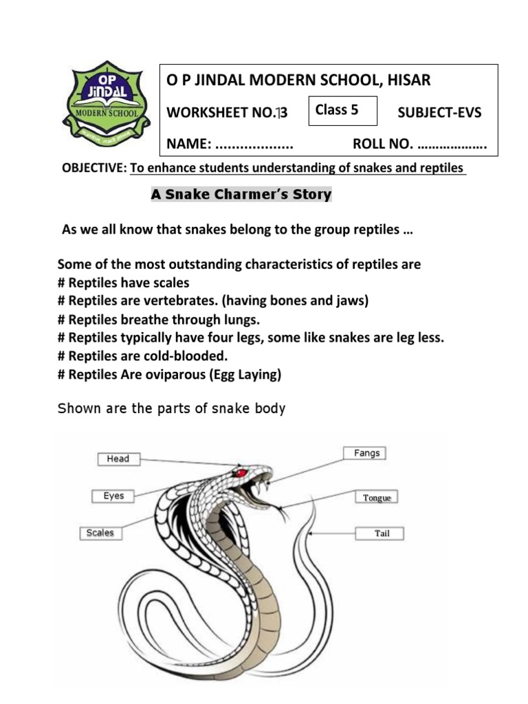 O P Jindal Modern School, Hisar: Worksheet No. 3 Subject-Evs NAME ...
