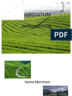 Agriculture Economy