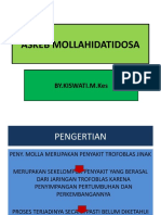 Askeb Mollahidatidosa (5) 2020 d3