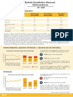 Boletin Estadistico Mensual Hidrocarburos Junio 2021