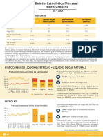 Boletin Estadistico Mensual Hidrocarburos Mayo 2021