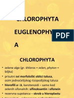 pdfslide.net_chlorophyta-euglenophyta-biobgacrsmaterijalikorisnika7-predavanje-oamtrihalne
