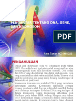 Pengantar Dna, Gene, Dan Kromosom (Alex Tanan H031181026)