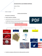 Biologia Diagnostico