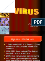 VIRUS