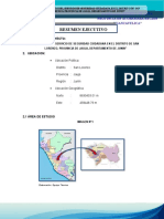 1. RESUMEN EJECUTIVO final