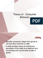 Theory of Consumer Behaviour