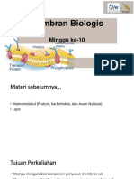 Membran Biologis