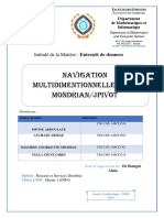 MONDRIAN Jpivot Final