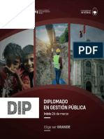 Brochure Diplomado Gestión Publica