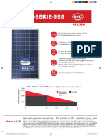 1.P6C 36 Serie 5BB - Oficial