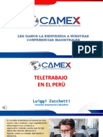 Teletrabajo Camex