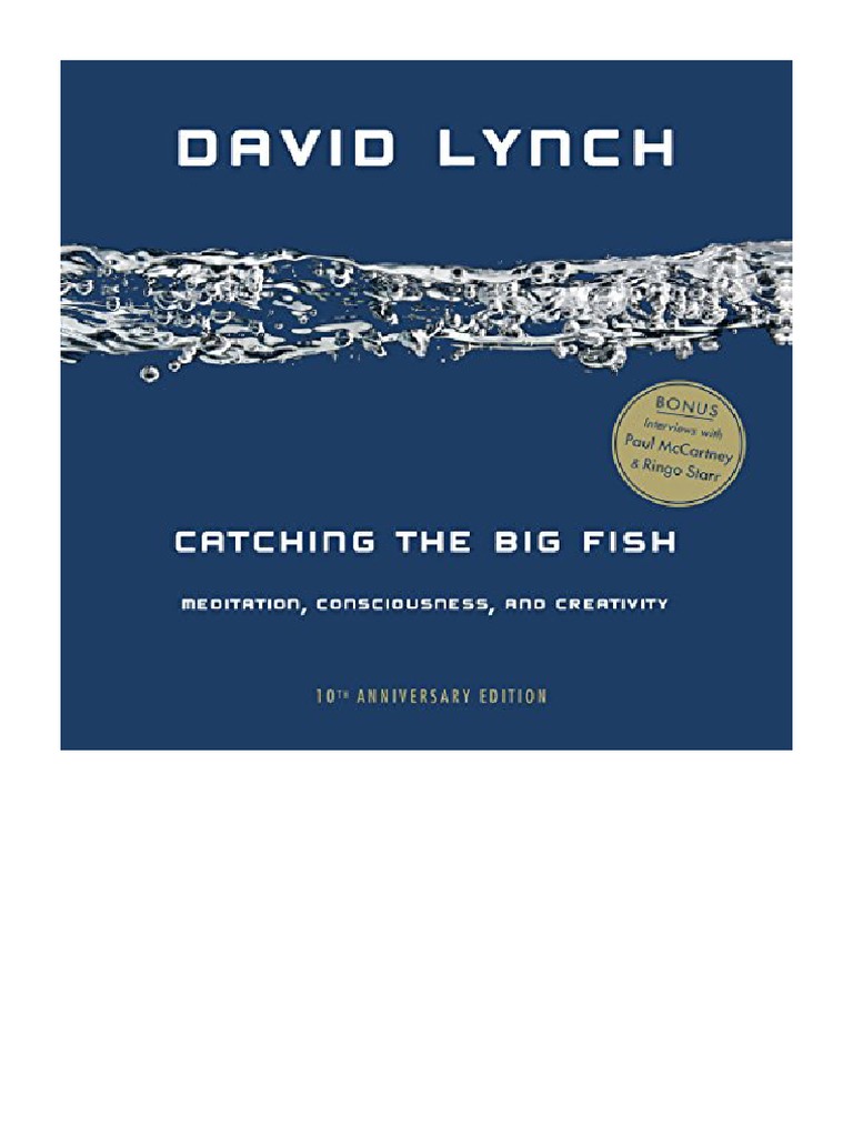 Catching The Big Fish Meditation, Consciousness, and Creativity 10th Anniversary Edition